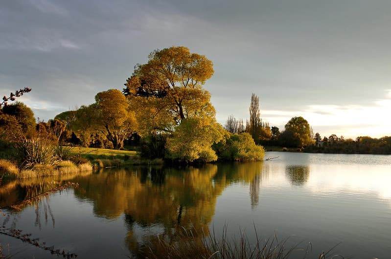 Evening light at the pond.