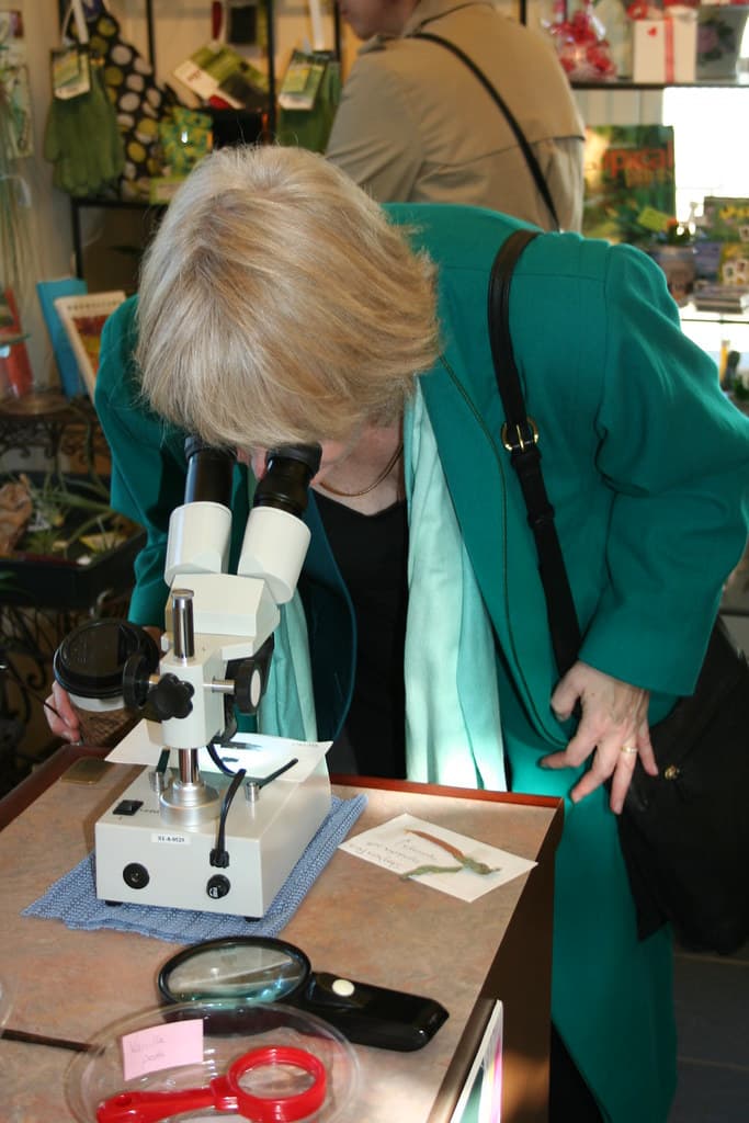 Volunteer Park Conservatory Microscope