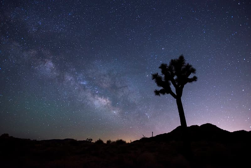 Night Sky