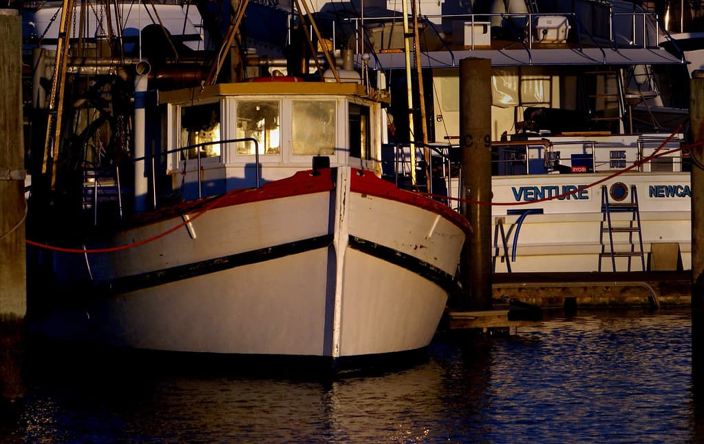 Fishing boat Port Stephens