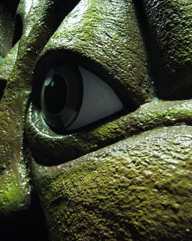 Tree Eye: Ocean Park