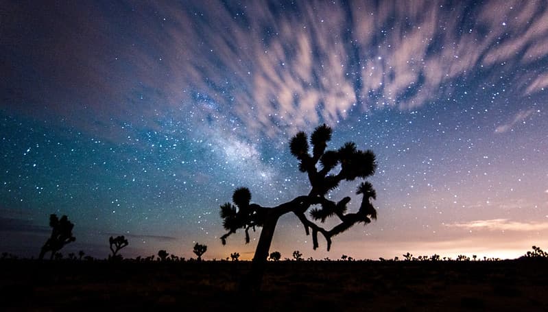 Cloudy Night Sky