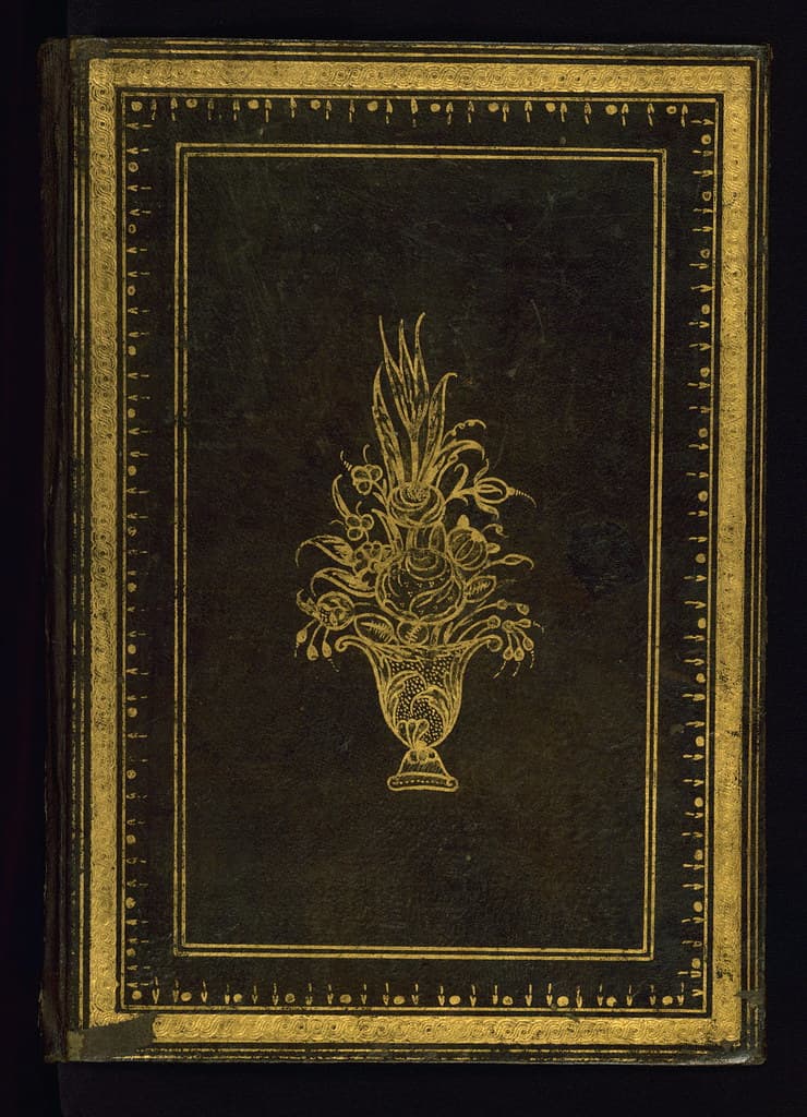 Book, codex, illustration