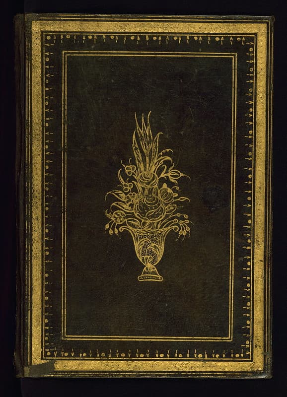 Book, codex, illustration