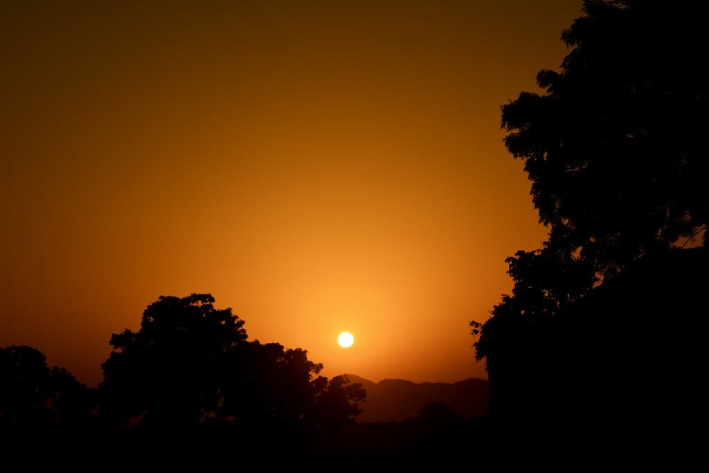 Sun in Sky with Silhouette of Trees