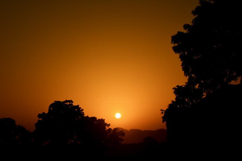 Sun in Sky with Silhouette of Trees