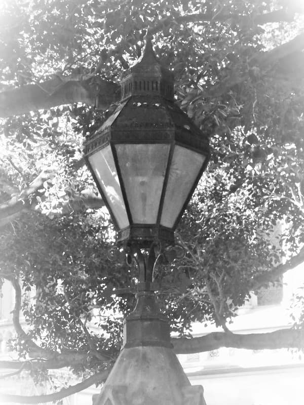 Lamp