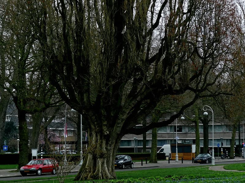 Amsterdam, appololaan, city