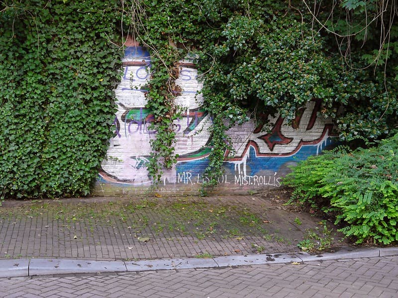 Amsterdam, amsterdamcity, art