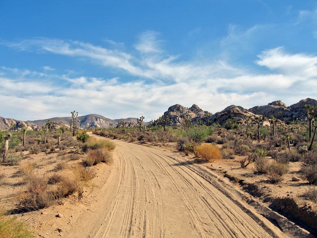 Desert Queen Ranch Road