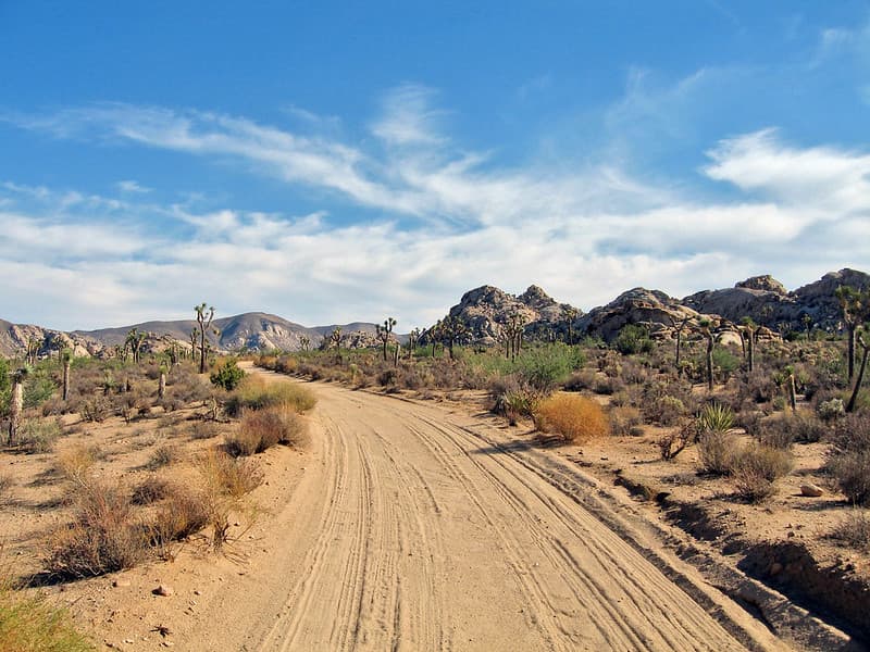 Desert Queen Ranch Road