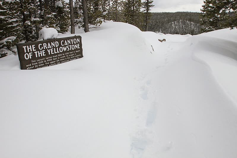 Walkway to Grand View at the Grand Canyon of the Yellowstone