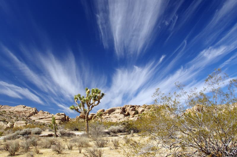 Wind and Clouds