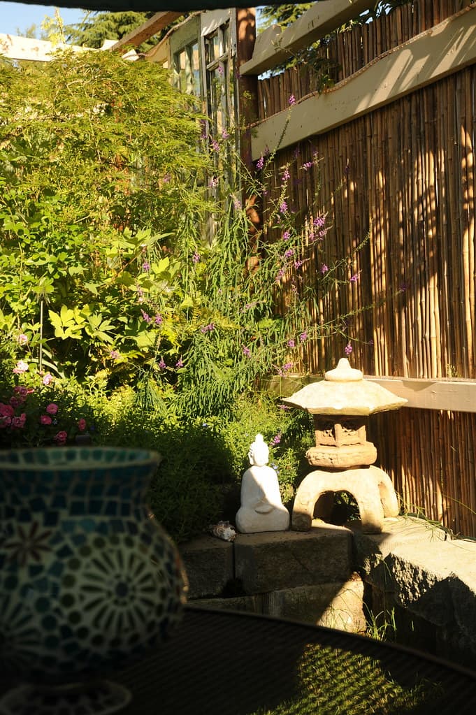 Stavenw, againstabamboofence, agardenforthebuddha