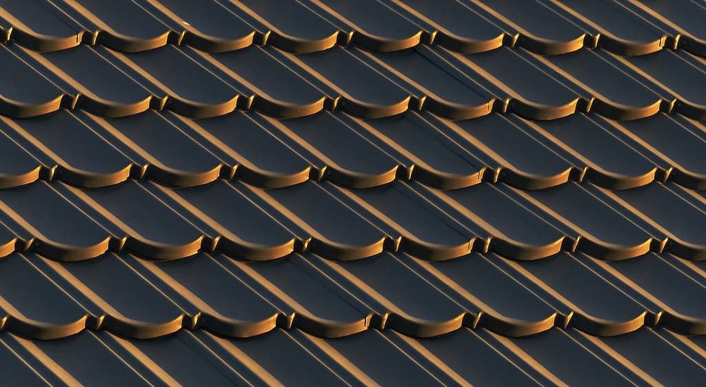Sunset on the roof. FZ200