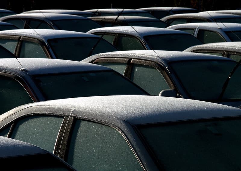 Early morning at the car yard.