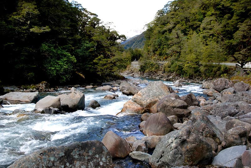 The Hollyford River. Fiordland NZ