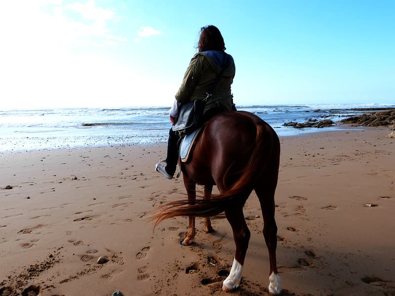 A little horse riding