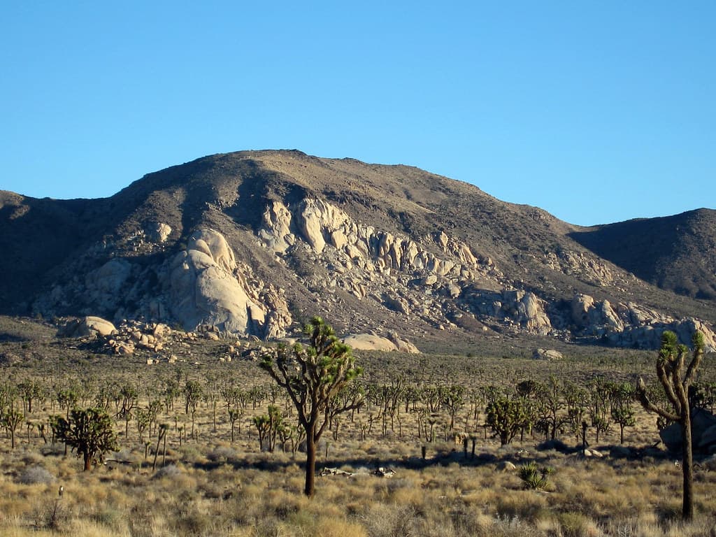 Ryan Mountain