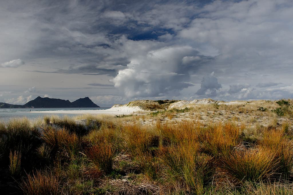 Ruakaka Beach Northland NZ