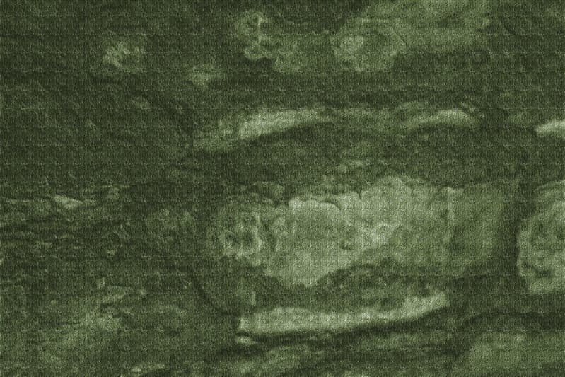 Free Texture - Tree Bark