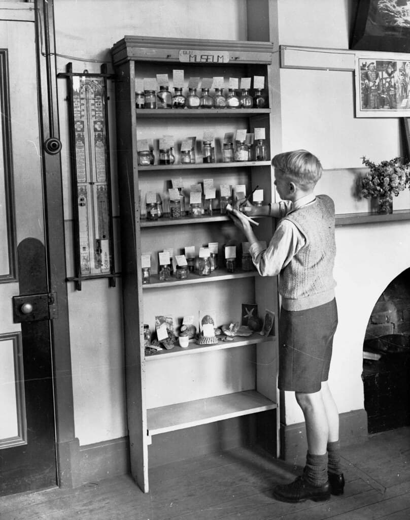 GN08876 Boy at Nature Science shelf, Goodwood Primary School, 1945