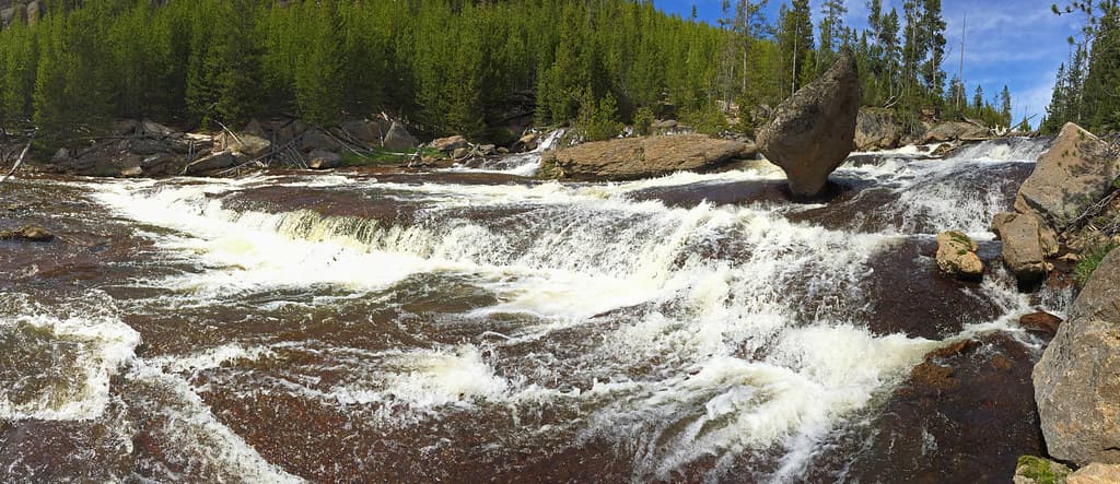 Gibbon River