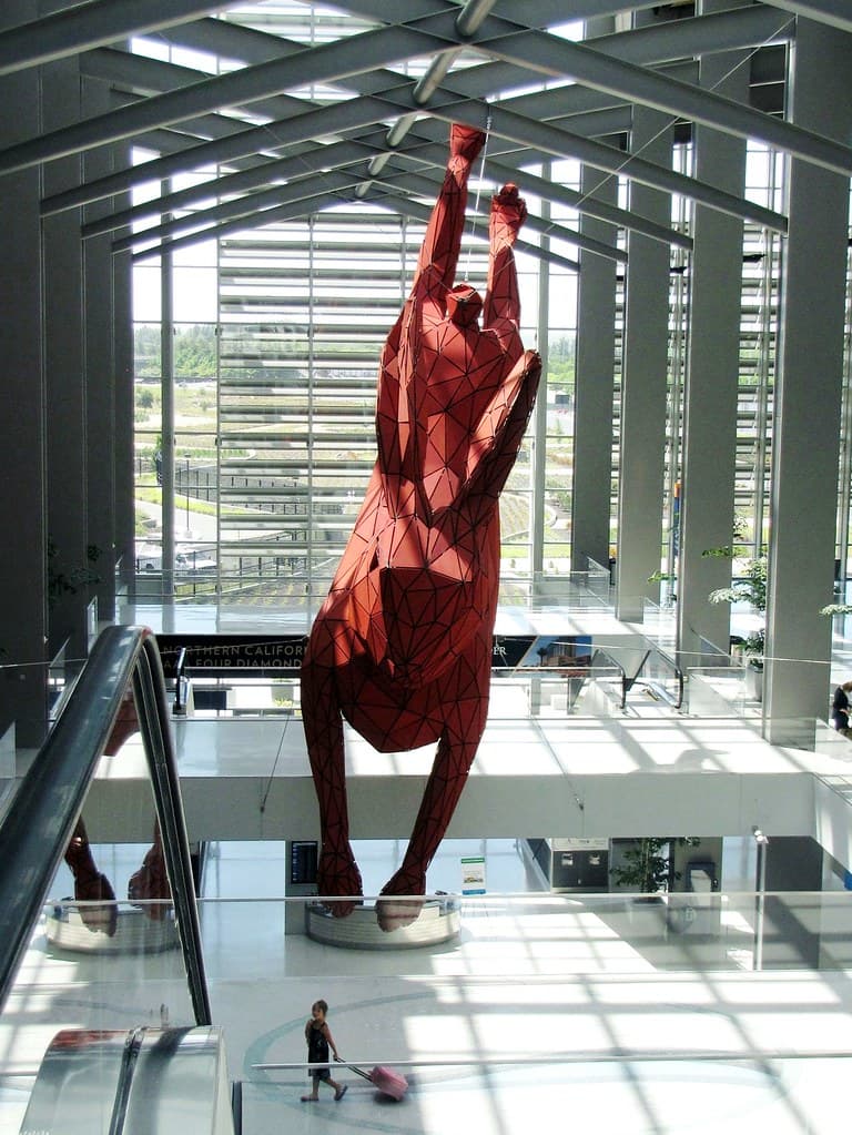 Sacramento Airport Rabbit