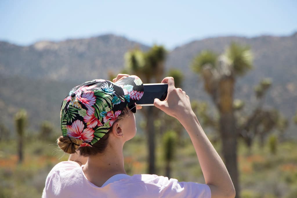 Smartphone photography in Joshua Tree