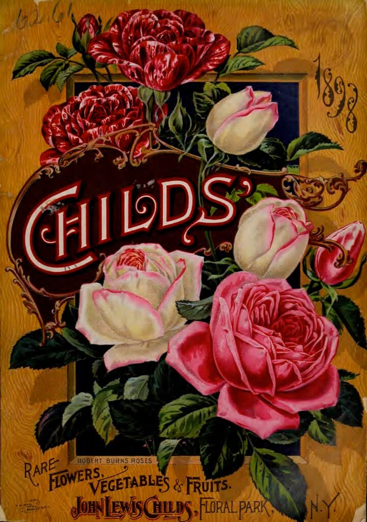 Roses on front catalog cover. John Lewis Childs 1898