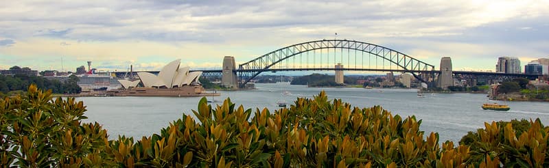 Opera house and harbour bridge
