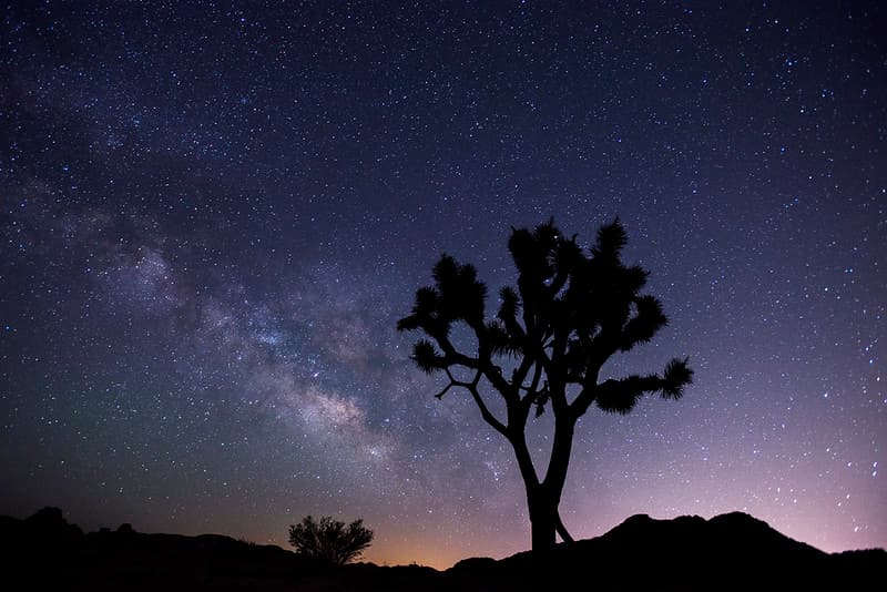 Night Sky