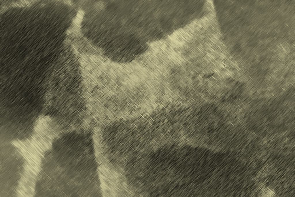 Light and Dark - Free Texture