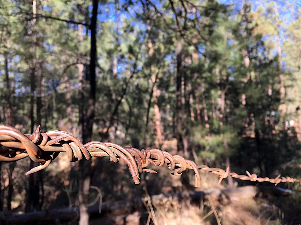 All Along the Barbed Wire