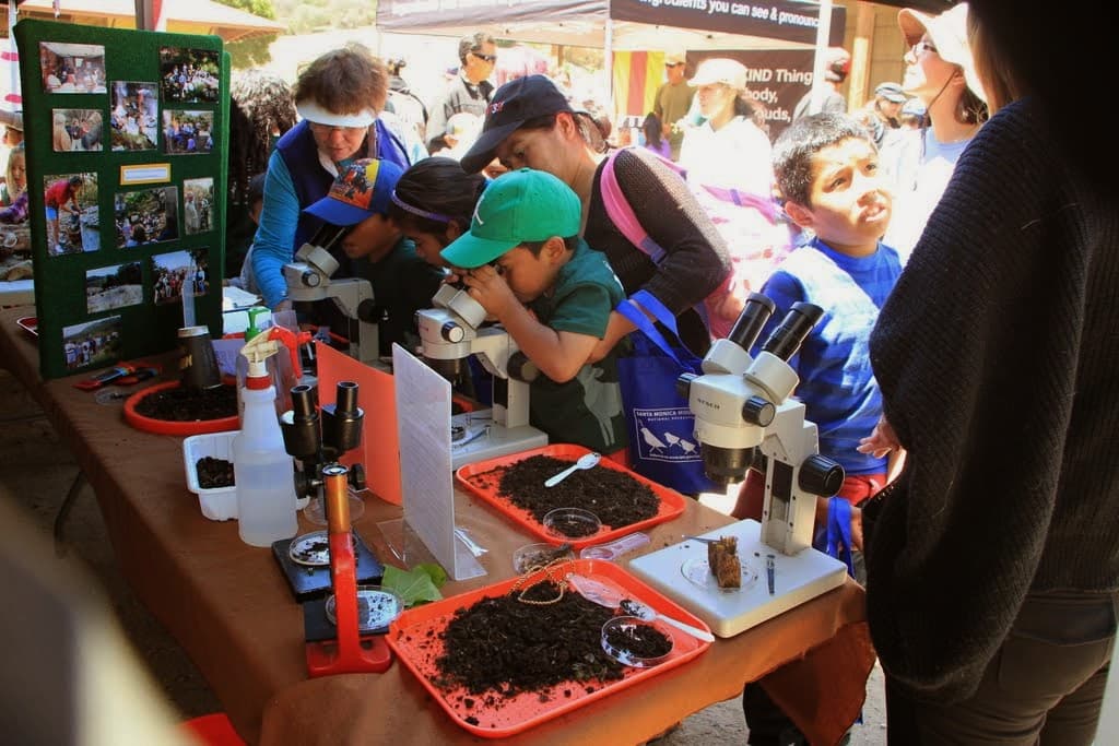 Microscope