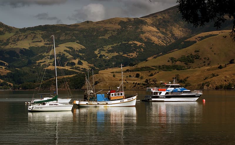 Akaroa Harbour NZ