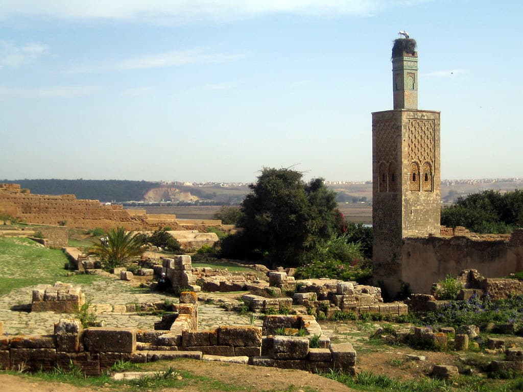 Ruins of Chellah & 14th century minaret
