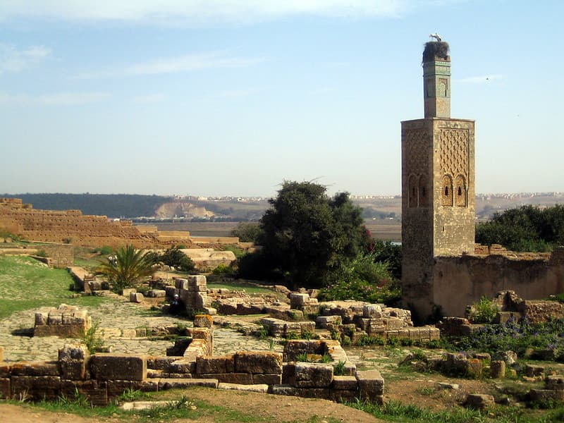 Ruins of Chellah & 14th century minaret