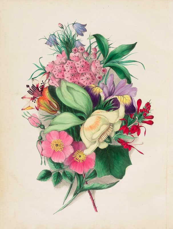 Botanical, botany, campanula