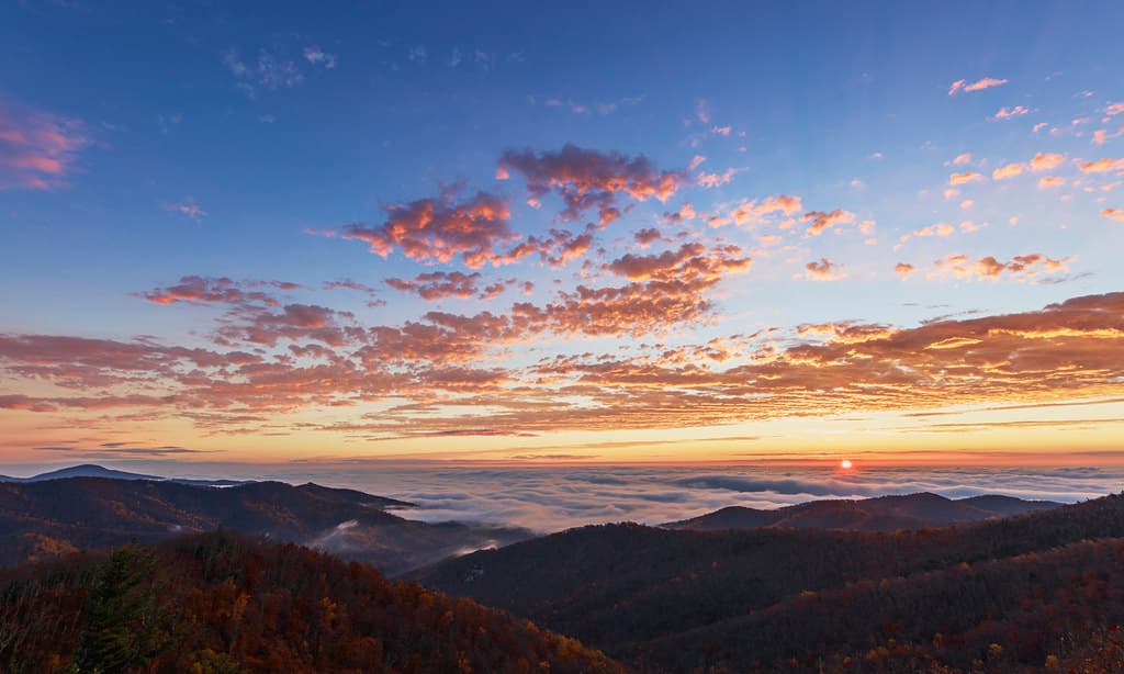 Fog Ocean Sunrise