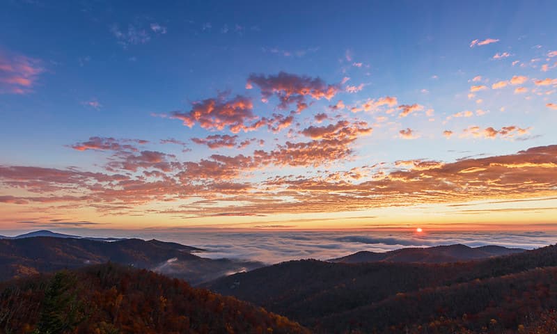 Fog Ocean Sunrise