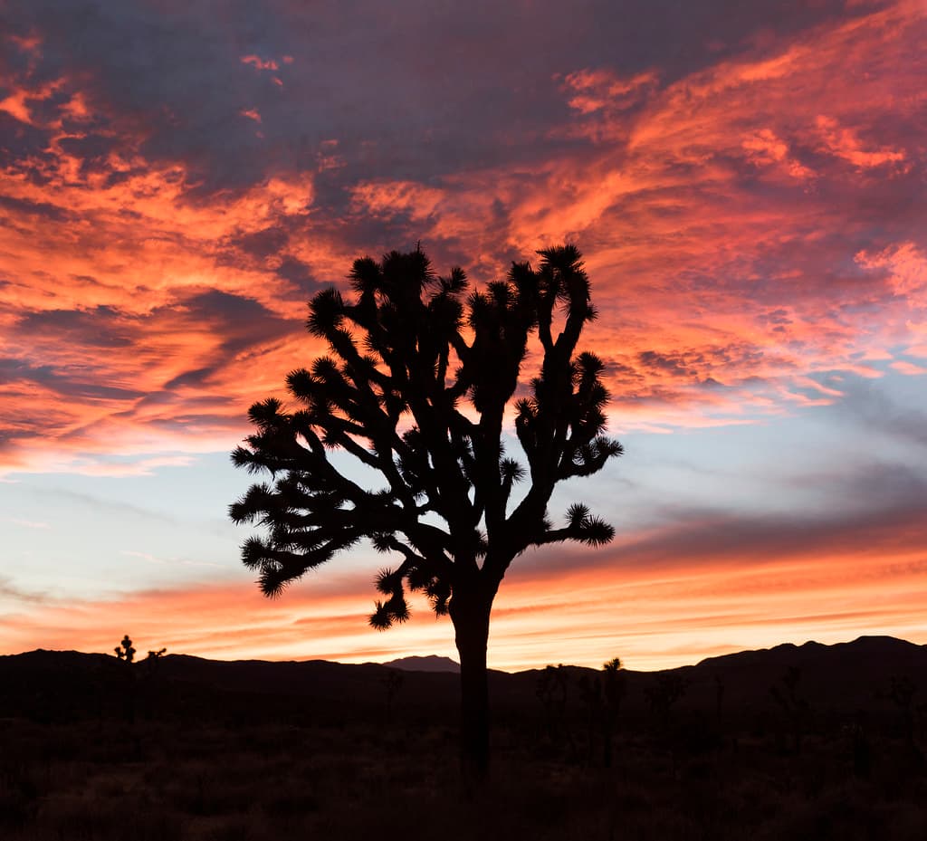 Sunset in Lost Horse Valley; 12/3/15