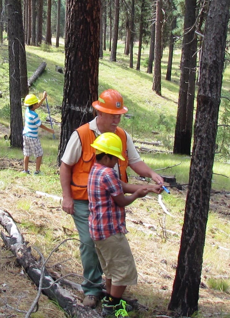 Employees, forest, kids