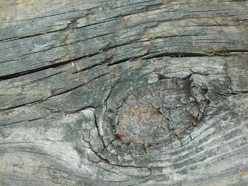 Wood Texture