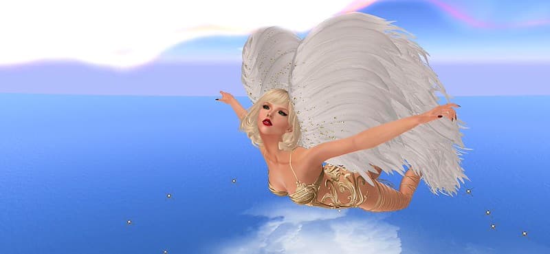 Gliding over the clouds and ocean