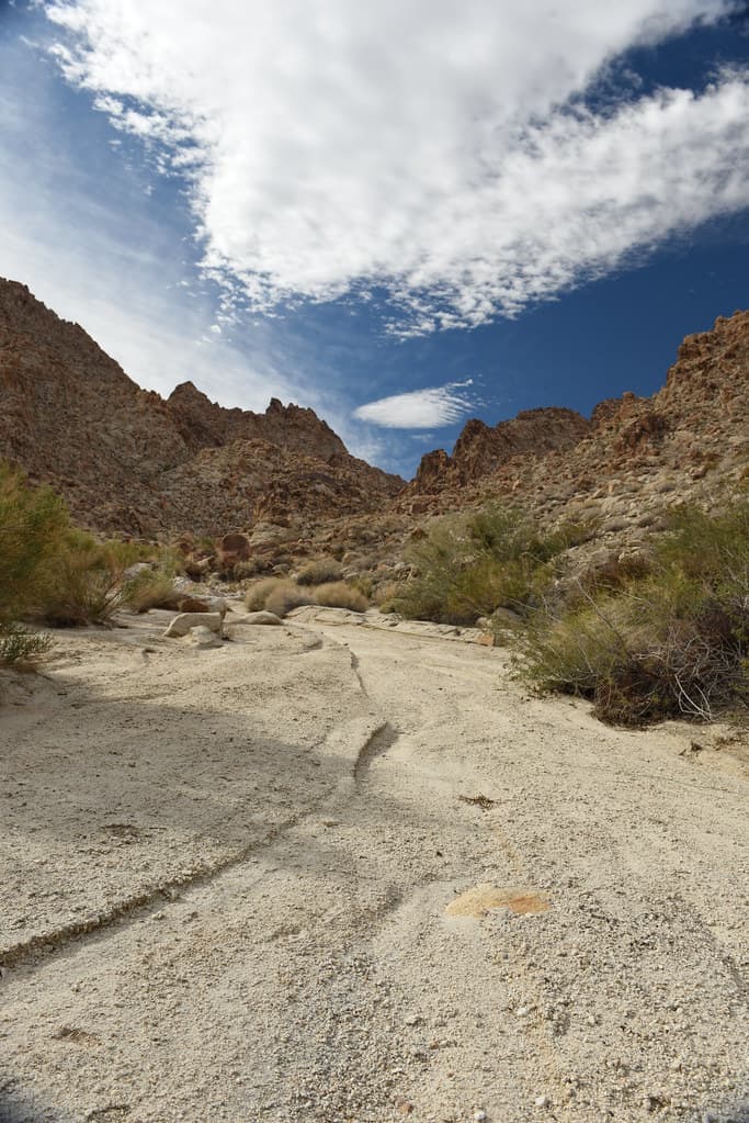 Coxcomb Mountains