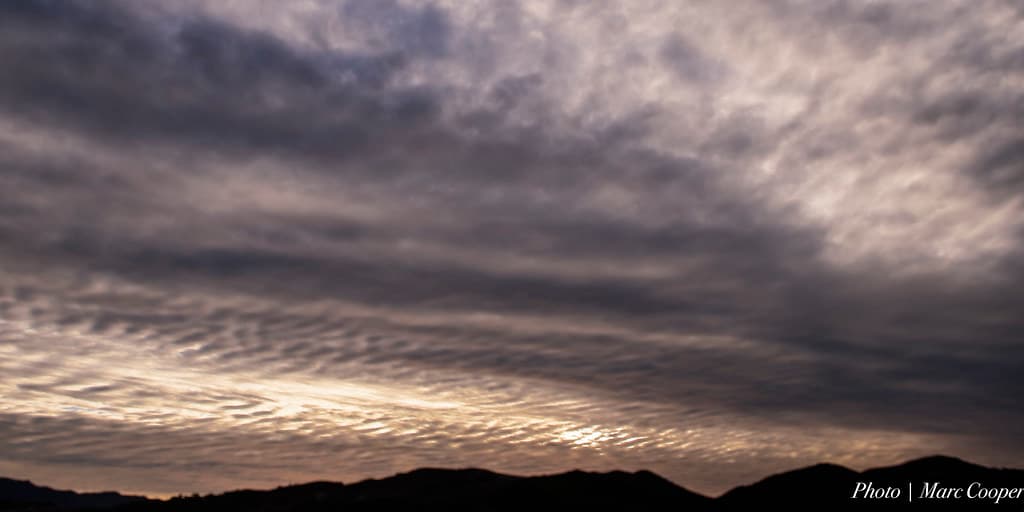 Liquid Sky II