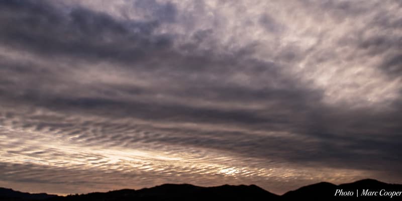 Liquid Sky II