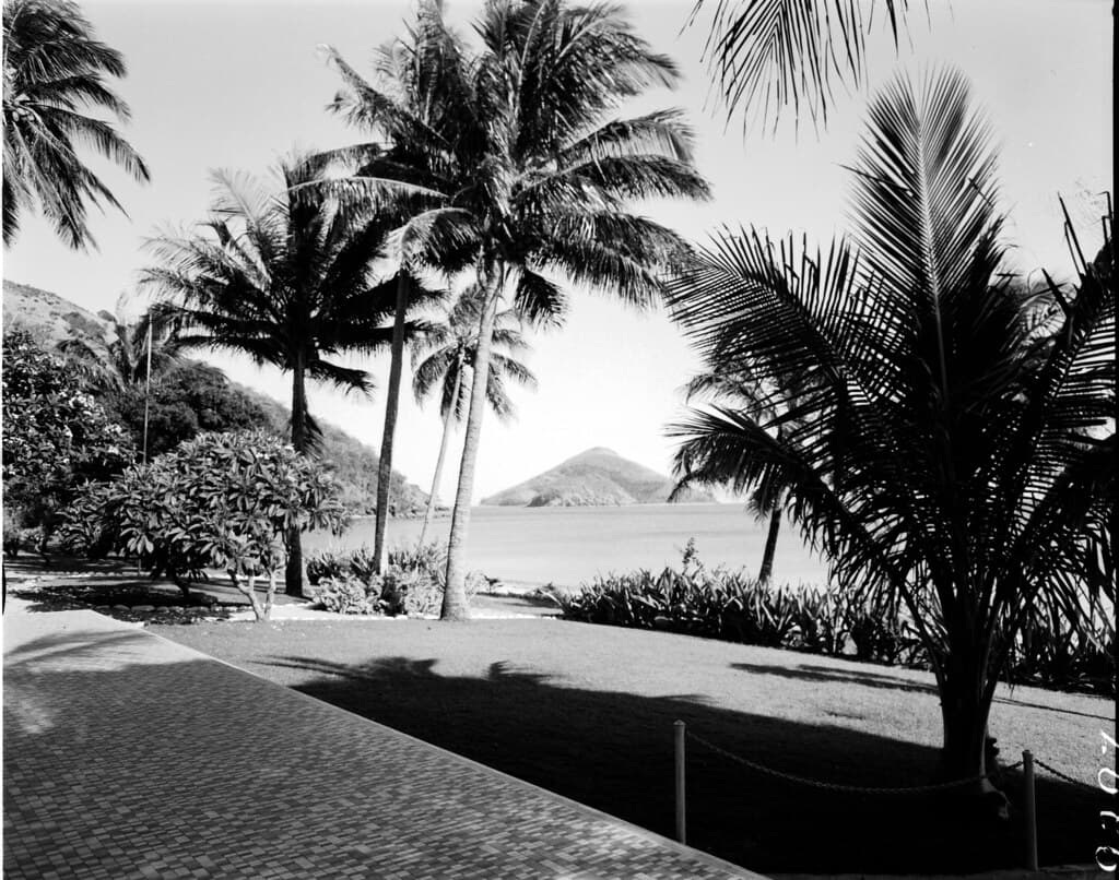 Palms, oceans and coast ....