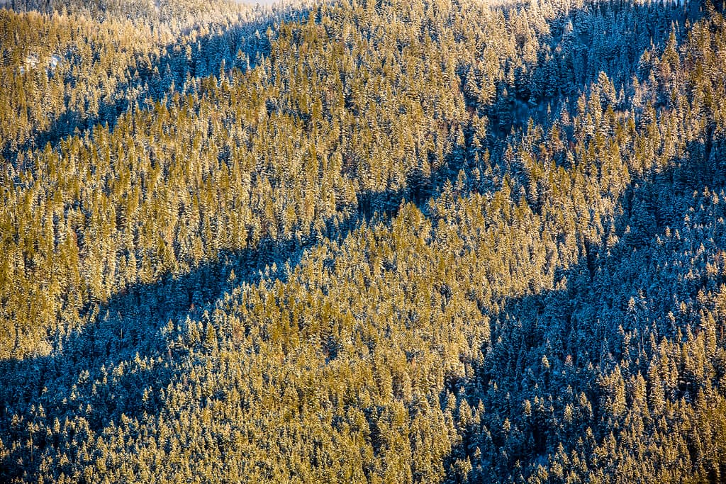 Snyder Ridge Patterns